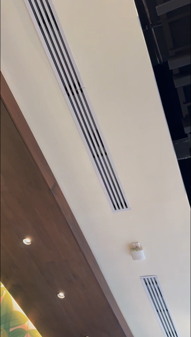 Vista 5 — Starbucks Westland: INTERIOR.